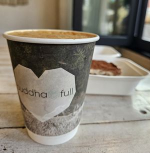 Mocha Maca Changa & Raw Tiramisu Square (GF) at Buddha-Full - Northwoods Village in North Vancouver