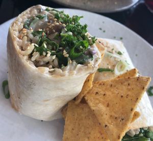 Creamy Mushroom Burrito  at VegOut on Charles in Launceston