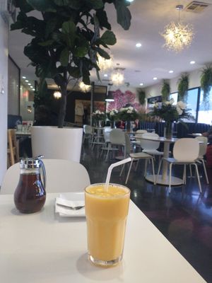  at The Modern Vegan in Las Vegas