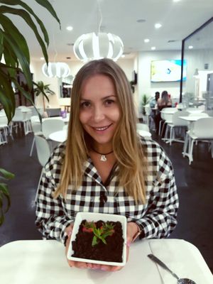Chocolate mousse 🌱 at The Modern Vegan in Las Vegas