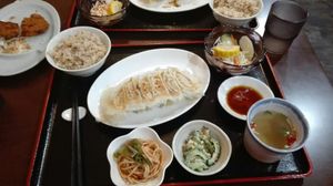 Gyoza set menu   at Ren - Nakagyo Ward in Kyoto