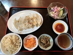 Vegetable gyoza at Ren - Nakagyo Ward in Kyoto