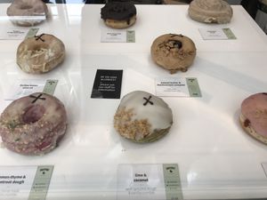 A large range of Vegan doughnuts  at Crosstown Doughnuts Vegan in London