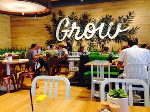 True Food Kitchen Dining Room at True Food Kitchen in Boca Raton