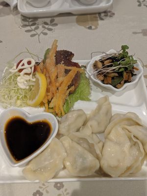 Vegan dumplings lunch set at Aina Cafe in Osaka