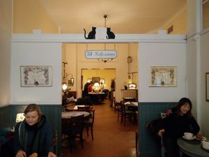 more space at Vete-Katten in Stockholm