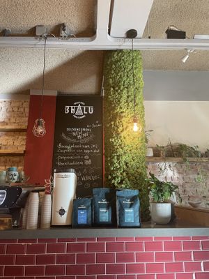   at Bhalu in Nijmegen