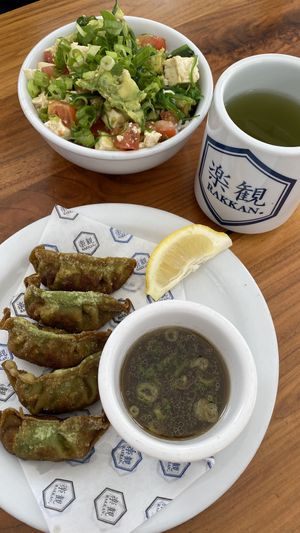 Tofu avocado bowl, genmai tea, and vegan gyoza  at RAKKAN Ramen - DTLA in Los Angeles