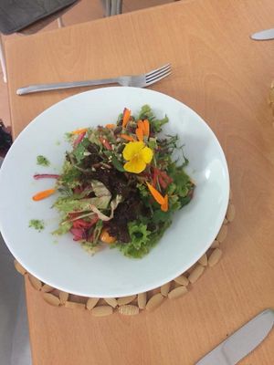 seasonal salad at Bio.Tequim Vegetariano Restaurante in Tavira