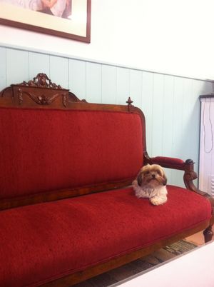 Annik. at Bio.Tequim Vegetariano Restaurante in Tavira