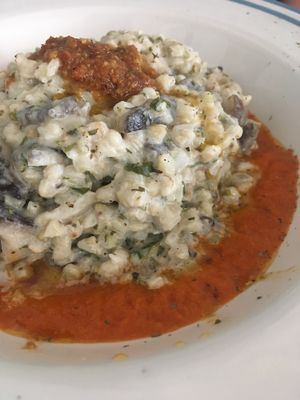 Risotto at Bio.Tequim Vegetariano Restaurante in Tavira