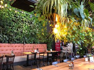 Living plant wall at Orzo People Music Nature in Krakow