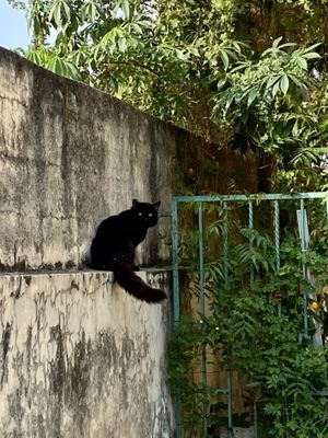   at Huitzilli Saludable in Merida
