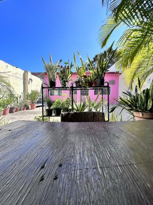   at Comiendo Sano Mi Tienda de la Salud in Mazatlan