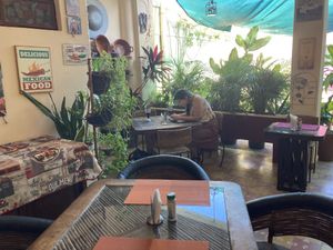   at Comiendo Sano Mi Tienda de la Salud in Mazatlan