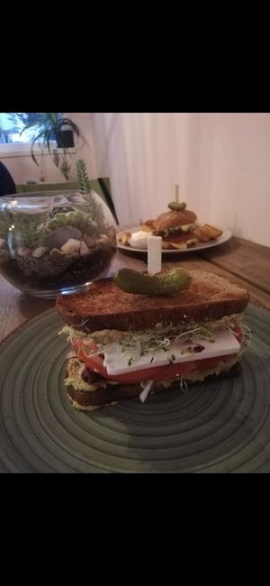   at Edgy Veggy in Sofia