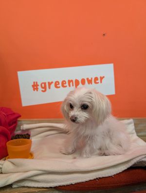  at Edgy Veggy in Sofia