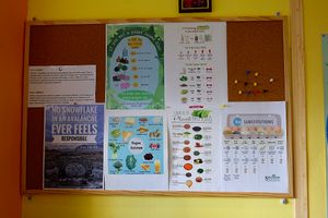 Inside at Edgy Veggy in Sofia