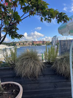   at Trattorian in Stockholm