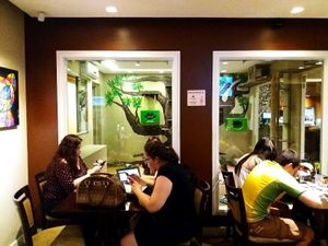 Cattery Windows at Cafe com Gato in Sorocaba