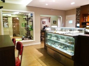 Gallery of Delights at Cafe com Gato in Sorocaba