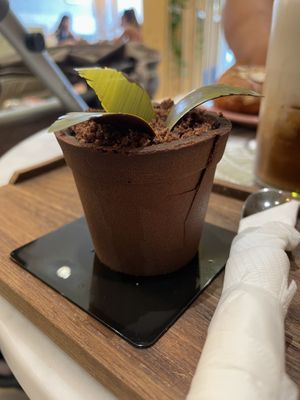 Tiramisu  at L'Artisane Creative Bakery in Coral Gables