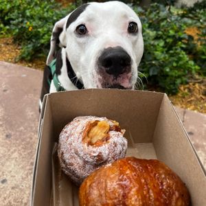 Crème brûlée croissants   at L'Artisane Creative Bakery in Coral Gables