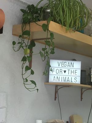 Spirit at L'Artisane Creative Bakery in Coral Gables