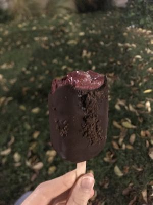 Homemade (dark thick chocolate and fruit ice cream inside )  at Gelateria La Romana in Padua