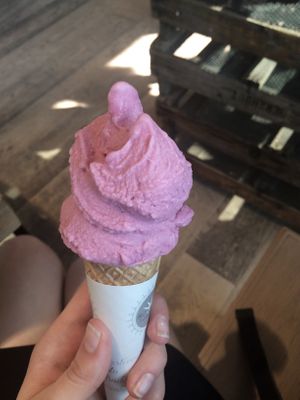 Blubeery, elderberry and lemon at Gelateria La Romana in Padua