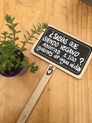 Mensajes  at Puro Zumo in Bogota