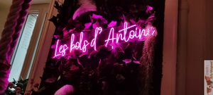 Neon deco at Les Bols d'Antoine in Paris