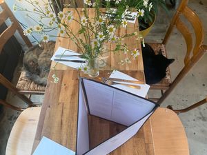 😺😺  at Les Bols d'Antoine in Paris