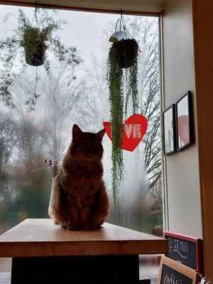  at Les Bols d'Antoine in Paris