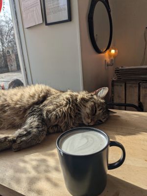  at Les Bols d'Antoine in Paris