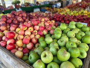  at Alstede Farms in Chester