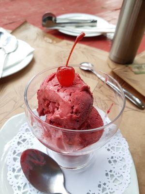 Sorvete de frutas vermelhas e calda de flores at Donna Pinha in Santo Antonio Do Pinhal