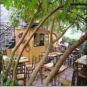 Outdoor garden seating area. at Haiku in Catania