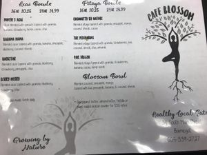 Menu at Cafe Blossom in Barnegat