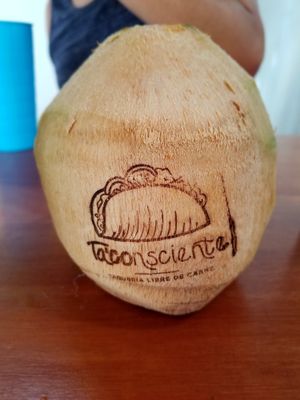 Coconut at Ta'consciente in Playa Del Carmen