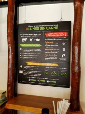 Awareness sign at Ta'consciente in Playa Del Carmen