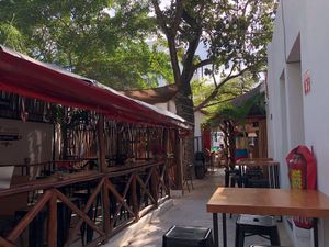   at Ta'consciente in Playa Del Carmen