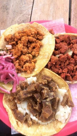 Yum at Ta'consciente in Playa Del Carmen