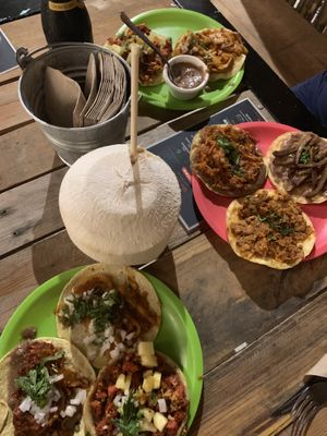 A taco night to remember 🌮😋🌙😊😍 at Ta'consciente in Playa Del Carmen