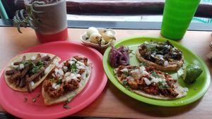 Really delicious vegan tacos! at Ta'consciente in Playa Del Carmen