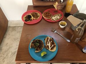 Amazing tacos! at Ta'consciente in Playa Del Carmen