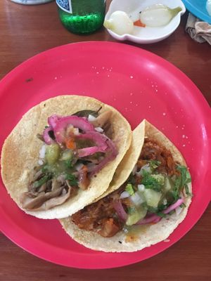 Taquitos  at Ta'consciente in Playa Del Carmen