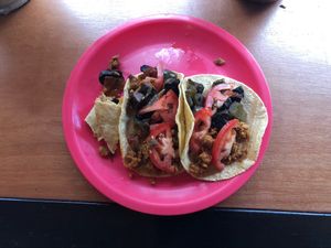 Tasty at Ta'consciente in Playa Del Carmen