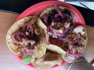 Yum at Ta'consciente in Playa Del Carmen