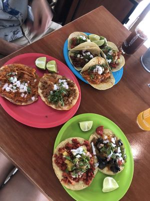 Best vegan tacos  at Ta'consciente in Playa Del Carmen